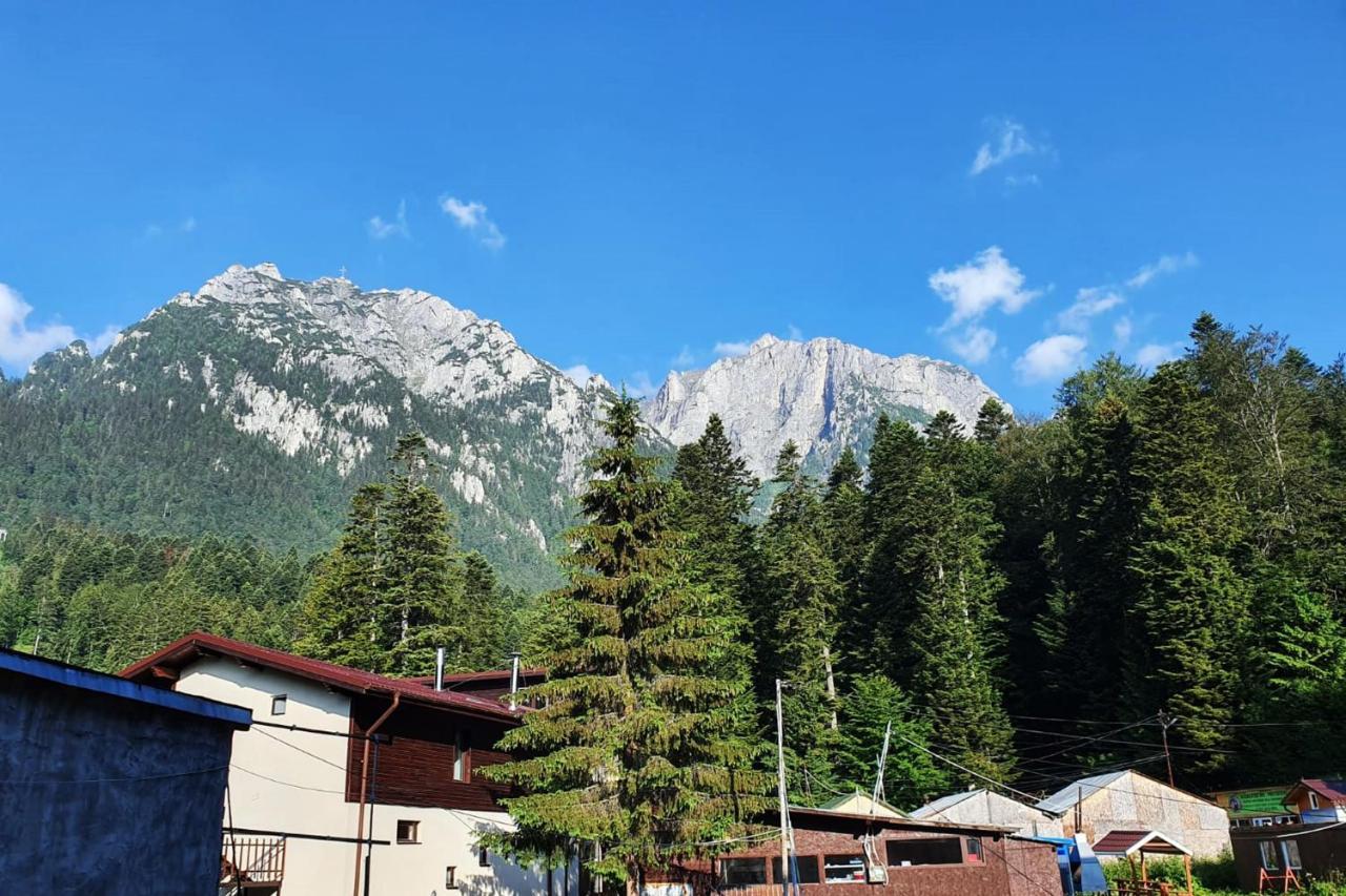 Apartament Eric, Buşteni Extérieur photo
